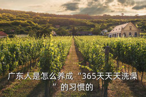 廣東人是怎么養成“365天天天洗澡”的習慣的
