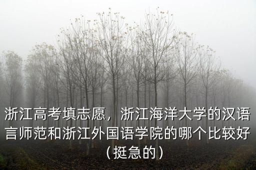 浙江高考填志愿，浙江海洋大學的漢語言師范和浙江外國語學院的哪個比較好（挺急的）
