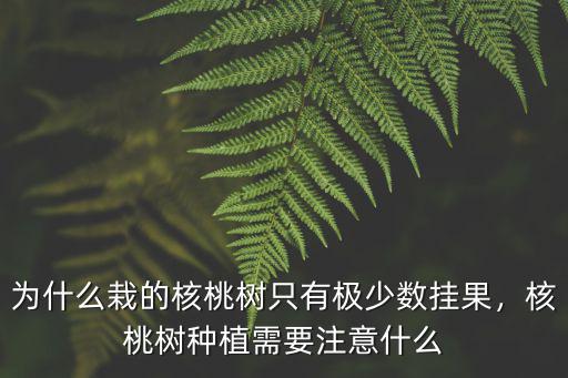 為什么栽的核桃樹只有極少數(shù)掛果，核桃樹種植需要注意什么