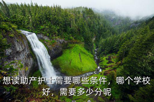 菏澤醫(yī)專助產(chǎn)多少分,菏澤醫(yī)學專科學校怎么樣