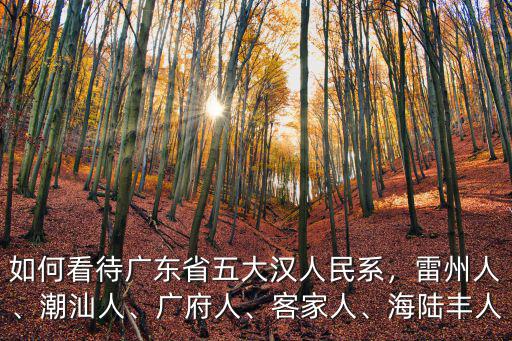 廣東省人民政府孫哲哪里人,如何看待廣東省五大漢人民系