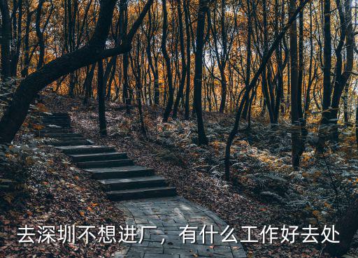 深圳工作怎么提升能力,在深圳不進(jìn)廠還能做什么工作