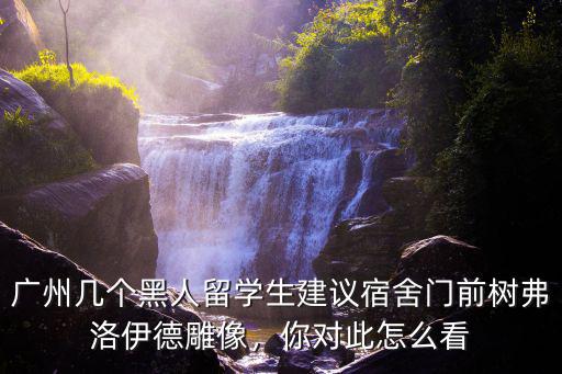 廣州幾個黑人留學生建議宿舍門前樹弗洛伊德雕像，你對此怎么看