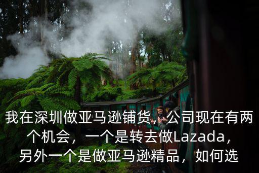 我在深圳做亞馬遜鋪貨，公司現(xiàn)在有兩個(gè)機(jī)會(huì)，一個(gè)是轉(zhuǎn)去做Lazada，另外一個(gè)是做亞馬遜精品，如何選