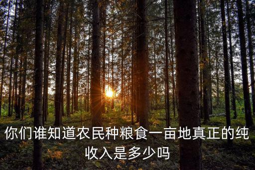 浙江谷物畝產(chǎn)產(chǎn)出是多少,中國一畝小麥產(chǎn)量是多少