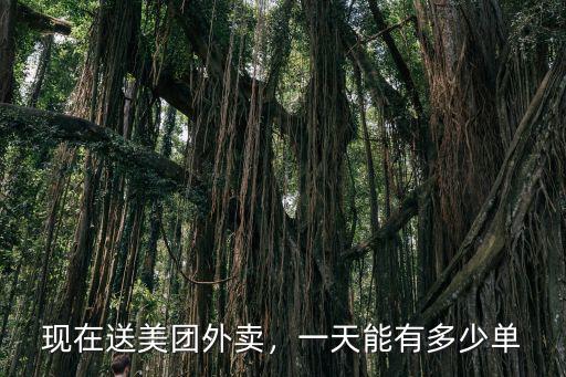 深圳美團(tuán)外賣送一單大概多少錢,在深圳送外賣一天大概多少錢