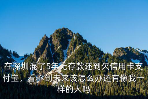 在深圳混了5年無存款還到欠信用卡支付寶，看不到未來該怎么辦還有像我一樣的人嗎