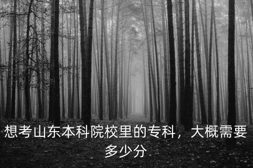山東專升本有哪些學(xué)校分?jǐn)?shù)線多少分,在山東專升本考試