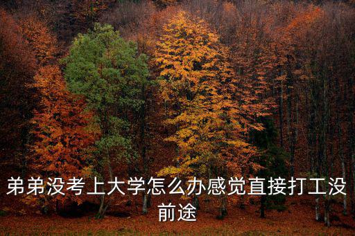 弟弟沒考上大學怎么辦感覺直接打工沒前途