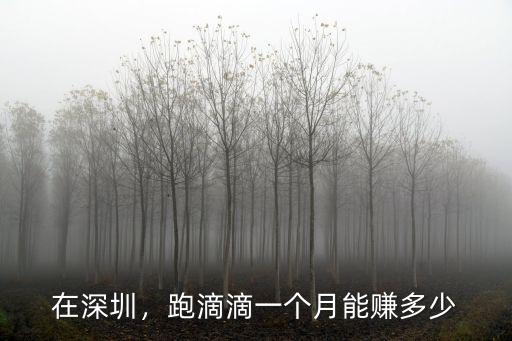 在深圳干滴滴司機一個月多少錢,在深圳做滴滴代駕怎么樣
