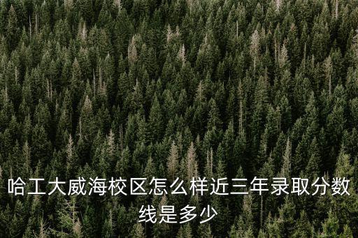 2019威海高考總分是多少,2019江蘇高考總分多少分