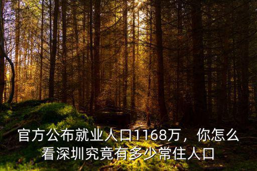 官方公布就業人口1168萬，你怎么看深圳究竟有多少常住人口