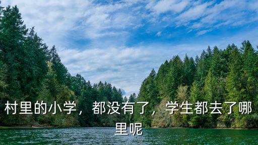 深圳小學學生分流去哪里,剛到深圳務工