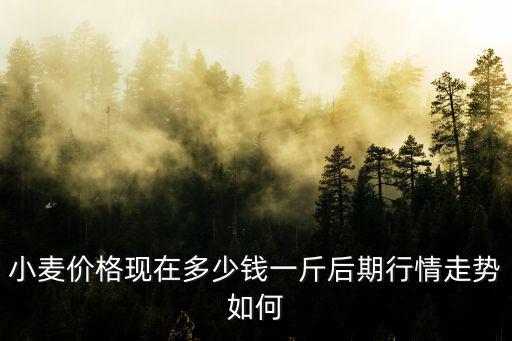 小麥價(jià)格現(xiàn)在多少錢一斤后期行情走勢(shì)如何