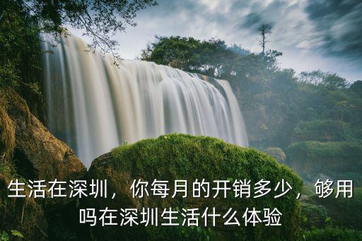在深圳的基本消費(fèi)多少,正常一個(gè)月的消費(fèi)水平是多少