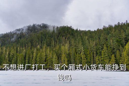 不想進廠打工，買個廂式小貨車能掙到錢嗎