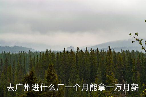 去廣州進什么廠一個月能拿一萬月薪