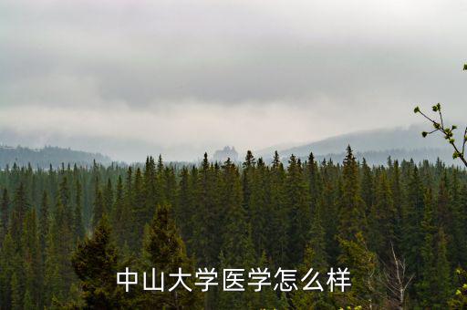 中山大學盧次勇怎么樣,中山大學醫學怎么樣