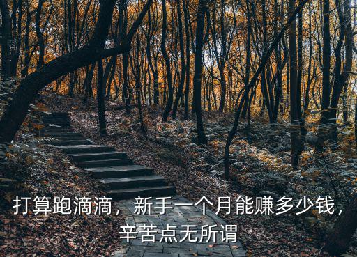 打算跑滴滴，新手一個月能賺多少錢，辛苦點無所謂