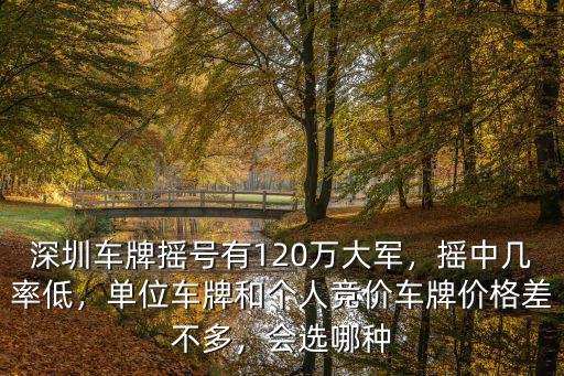 深圳搖車牌有多少人,我有一個深圳車牌指標