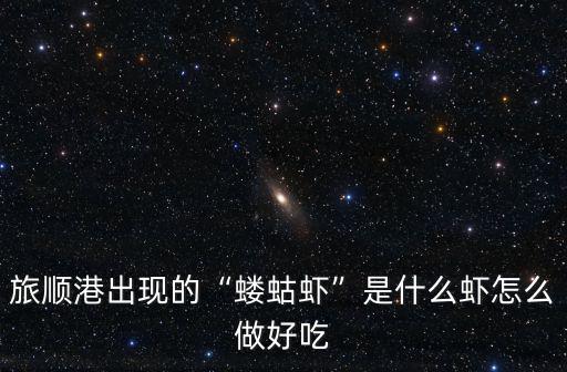 螻蛄蝦怎么做廣東口味,旅順港出現(xiàn)的螻蛄蝦是什么蝦