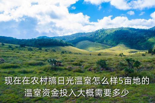 現在在農村搞日光溫室怎么樣5畝地的溫室資金投入大概需要多少