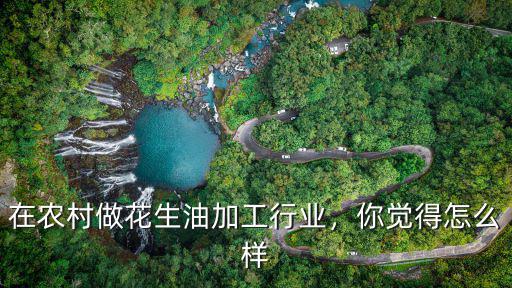 深圳榨花生油生意怎么樣,想開榨油坊榨花生油和菜籽油