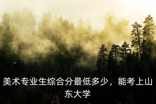 山東美術生總分多少分才能上本科,山東美術生聯考223分