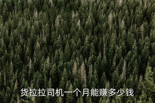 深圳貨拉拉交會員多少錢,在廣州跑貨拉拉