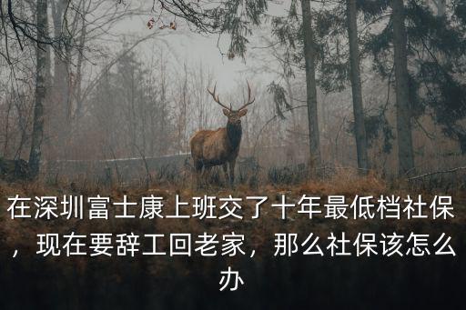在深圳富士康上班交了十年最低檔社保，現(xiàn)在要辭工回老家，那么社保該怎么辦