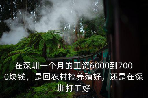 深圳6千工資是多少錢啊,七八千的工資在深圳怎么樣
