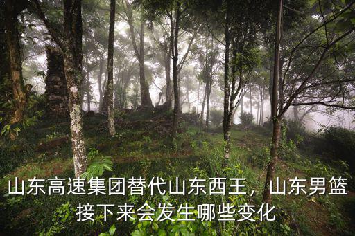 cba山東高速門票多少錢,山東高速集團(tuán)替代山東西王