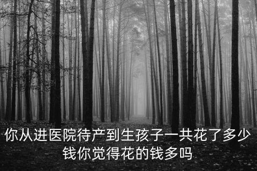 寧波生孩子花了多少錢,寶媽們都花了多少錢