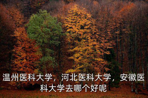 溫州醫科大學女生占比為多少,溫州醫科大學
