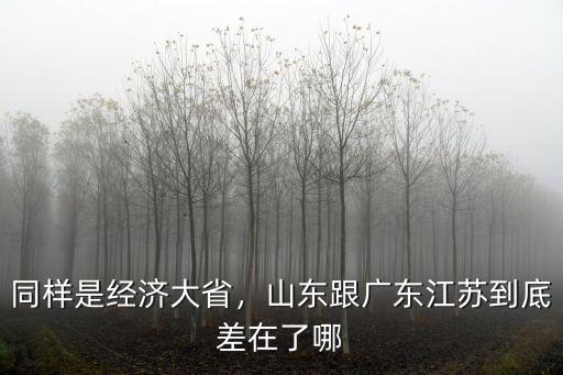 同樣是經濟大省，山東跟廣東江蘇到底差在了哪