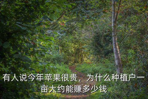 煙臺包裝蘋果能掙多少錢啊,煙臺蘋果果農(nóng)掙錢嗎