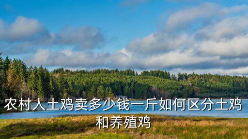 廣東收土雞多少錢,現(xiàn)在土雞價格多少錢一斤