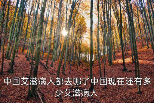 中國艾滋病人都去哪了中國現在還有多少艾滋病人