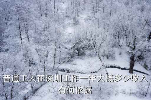 普通工人在深圳工作一年大概多少收入有何依據