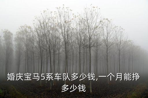 泰安婚慶寶馬5系車隊(duì)多少錢,一個(gè)月能掙多少錢