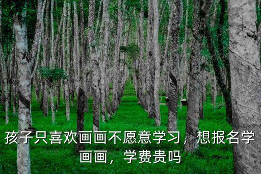 深圳學(xué)習(xí)畫(huà)畫(huà)多少錢(qián),孩子只喜歡畫(huà)畫(huà)不愿意學(xué)習(xí)