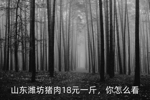 山東濰坊肥育豬多少錢,現(xiàn)在育肥豬成本價(jià)是多少錢