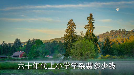在溫州上小學(xué)多少錢一學(xué)期,六十年代上小學(xué)學(xué)雜費(fèi)多少錢