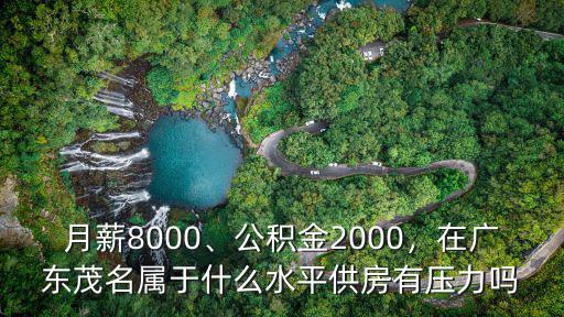 月薪8000、公積金2000，在廣東茂名屬于什么水平供房有壓力嗎