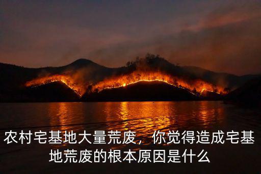 舟山有多少荒廢的宅基地,農(nóng)村宅基地大量荒廢