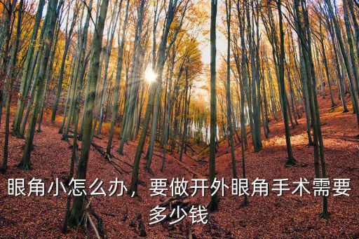 深圳開(kāi)眼角手術(shù)費(fèi)用是多少,要做開(kāi)外眼角手術(shù)需要多少錢(qián)
