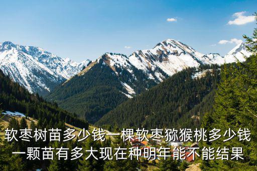 山東軟棗子苗多少錢一棵,軟棗獼猴桃苗多少錢一株