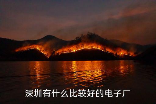 深圳有什么比較好的電子廠