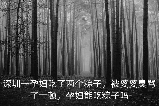 深圳哪里粽子好吃,孕婦能吃粽子嗎