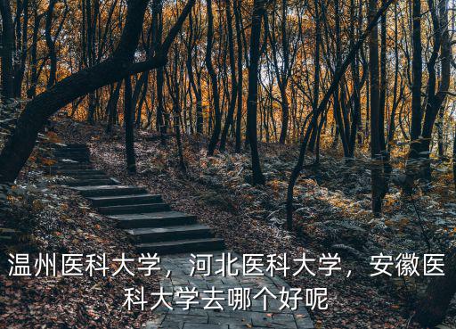 溫州醫科大學，河北醫科大學，安徽醫科大學去哪個好呢